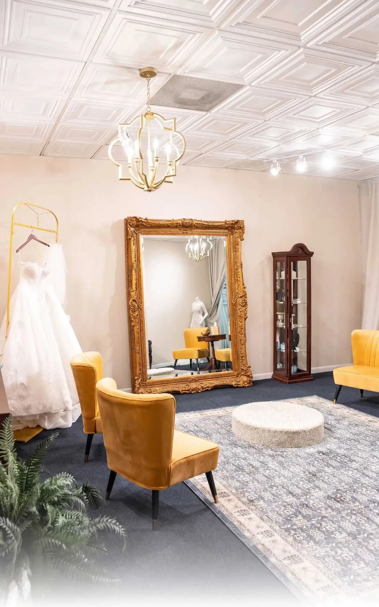 VIB Appointment Type image